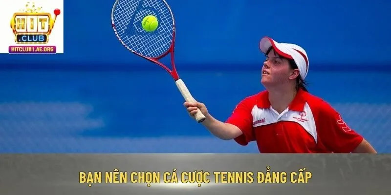 Bạn nên chọn cá cược Tennis đẳng cấp